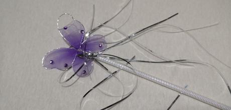 Motýlik na karneval, 