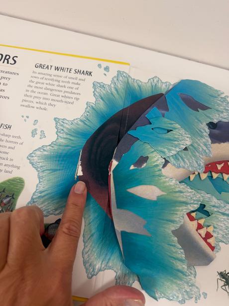 Pop up 3d kniha exreme animals,