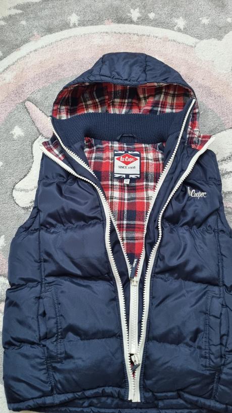 B3577 vesta, lee cooper,146