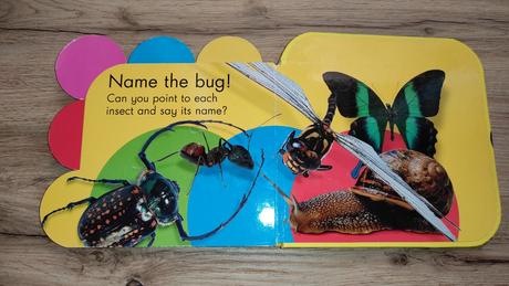 Hmatove kniha. hmyz,