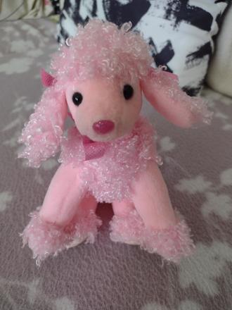 Ružový psík pinky poo,