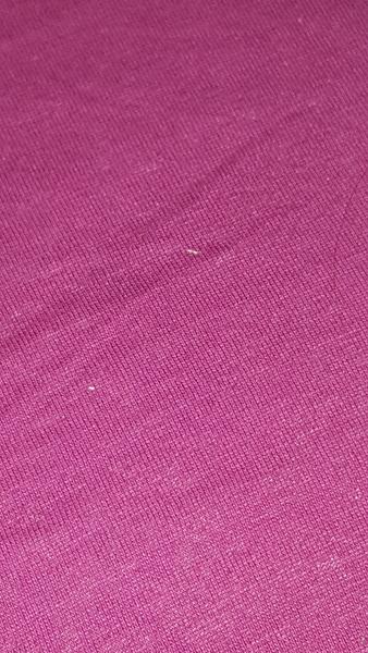 Identifikácia hmyzu