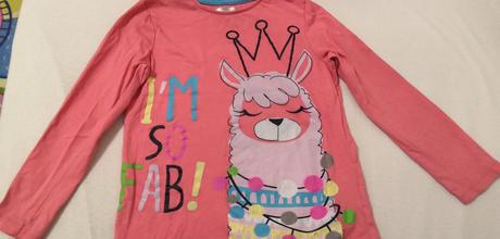 Tričko s ovečkou, 104