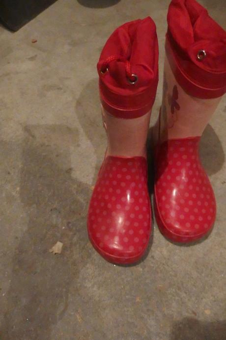 Gumačiky motýlik, 26