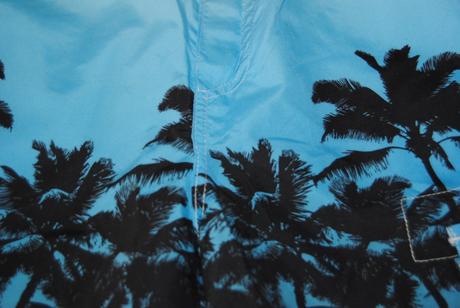 Palmové trištvrťáky, 146