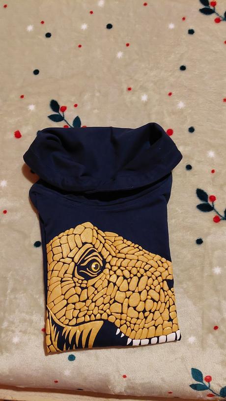 Tricko s dlhym rukavom s motivom dinosaura., dopodopo,110