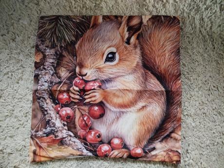 Obliečka na vankúš 45x45cm, šírka (cm): 45,dĺžka (cm): 40