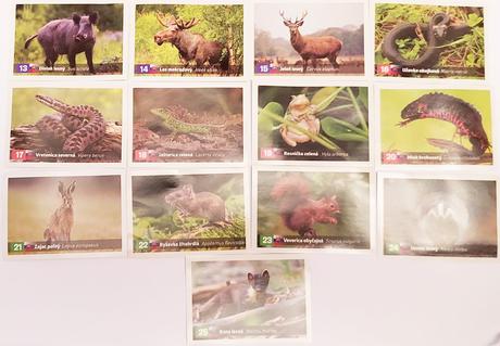 Kaufland figúrky zvieratká - sprievodca prírodou,