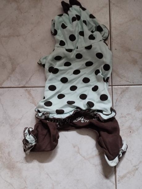 Oblečenie pre psíka, 