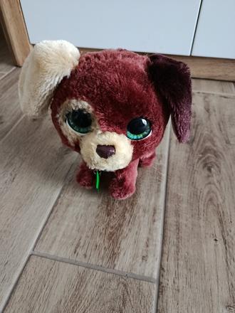 Interaktívny psík, 