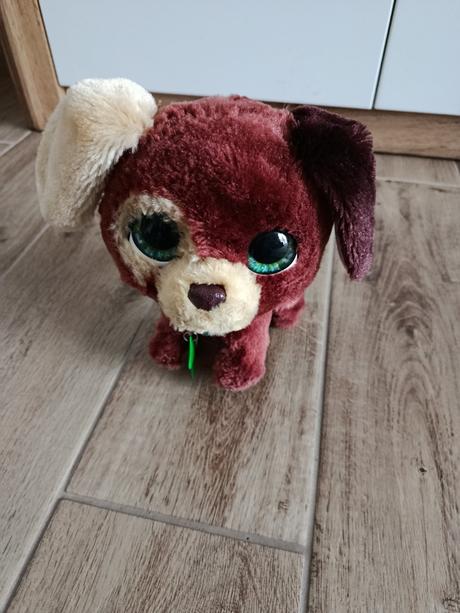 Interaktívny psík, 