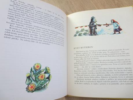 Kniha zakliaty strom, 