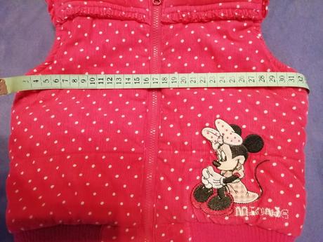 Vesta minnie, disney,104