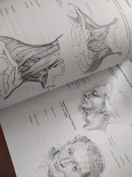 Praktický pruvodce kresleni,