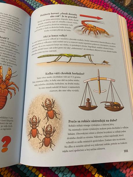 Veľká kniha otázok a odpovedí detská encyklopédia,