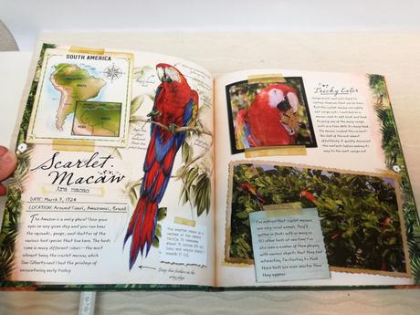 Ultimate expeditions rainforest explorer sp21, 