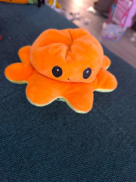 Plyšová obojstranná chobotnička, 