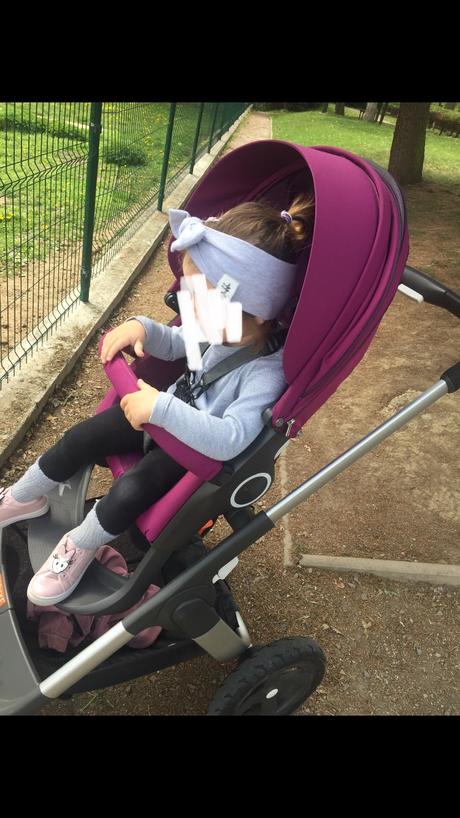 Stokke crusi, stokke,stokke crusi