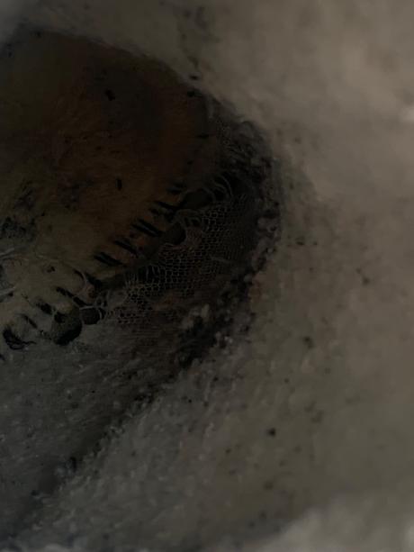 Snehule lurchi, lurchi,34