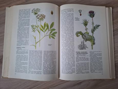 Atlas liečivých rastlín a lesných plodov, 