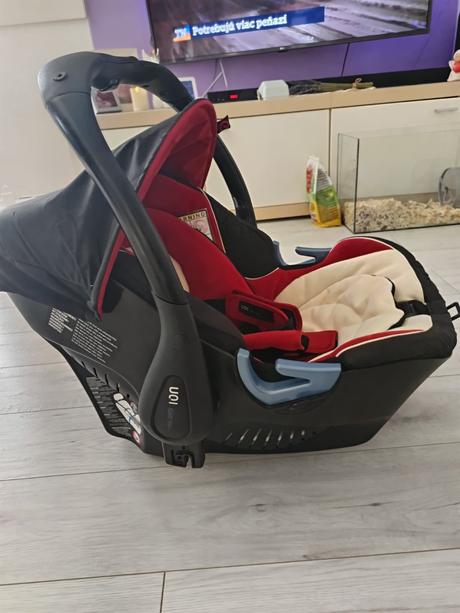 Vajíčko concord, concord