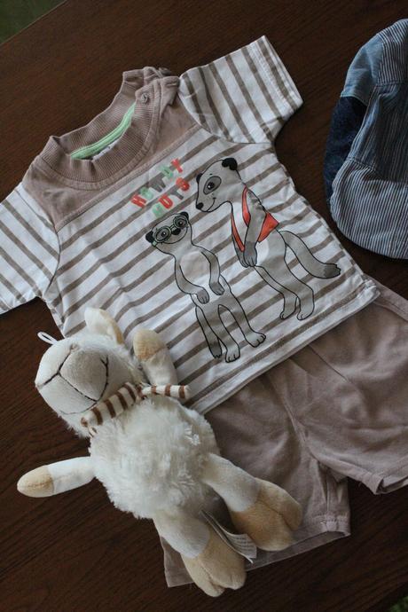 Letná súprava surikata, ergee,62