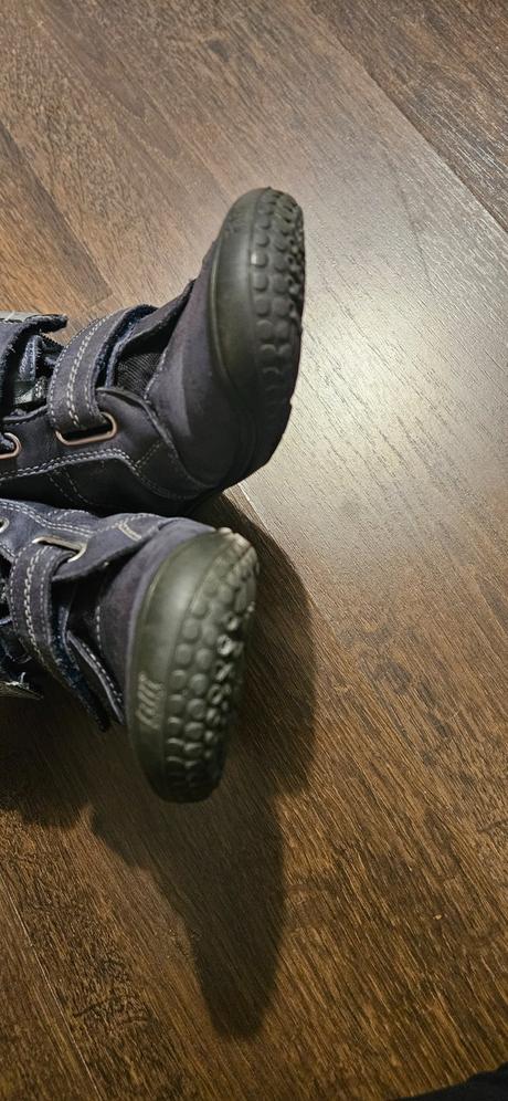 Filii zimne v. 29, filii,29