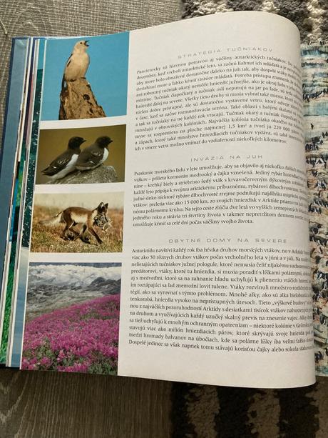 Planéta zem alastair fothergill (2007), 