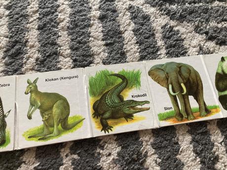 Kde bývajú zvieratká a zoo / leporelá,