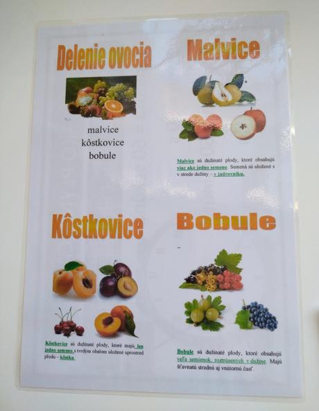 Sada edukačných materiálov a didaktických hier,