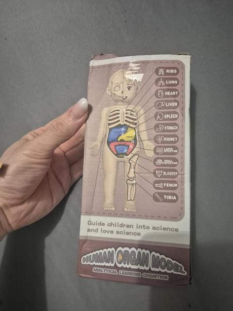 Vkladačka ľudské telo, 