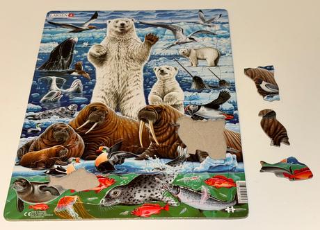Puzzle arktída 46, 