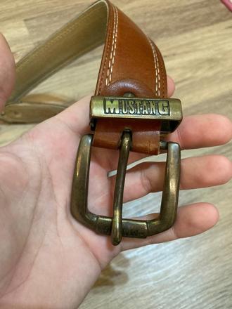 Opasok mustang, 