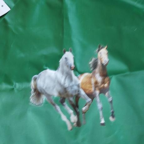 Taška na prezúvky, 