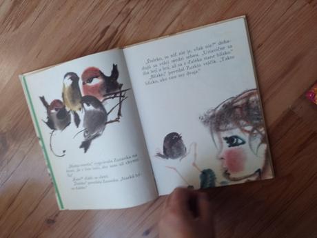 Neulet vtáčik rozpravky,