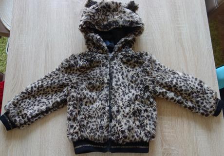 Bunda prechodná, palomino,98