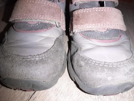 Celokožené elefanten, elefanten,24