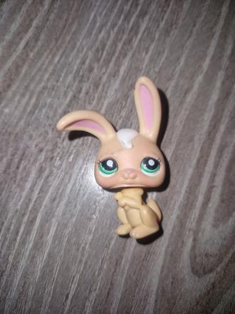 Lps zajac,