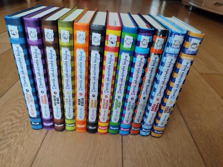 Denník odvážneho bojka, 