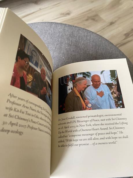 Listen to nature living in harmony with the earth,