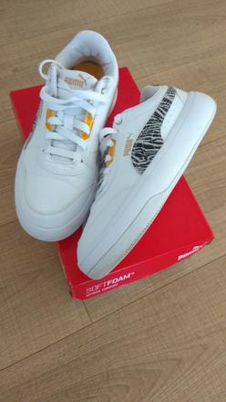 Botasky puma safari, puma,40