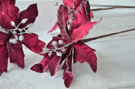 3x vianočná ruža, 