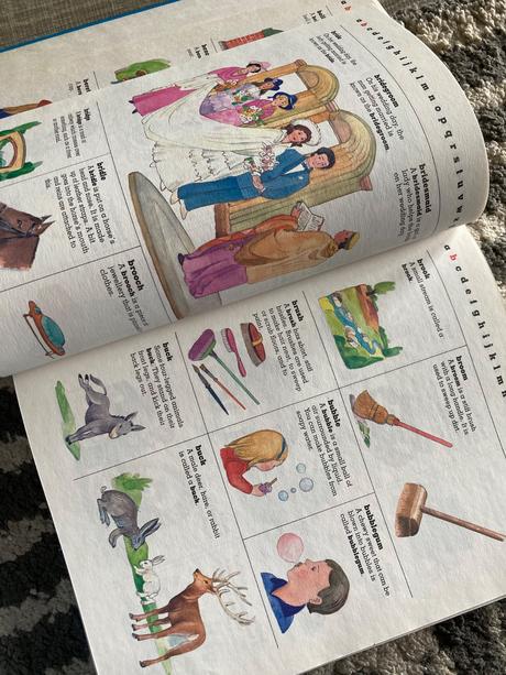 Children's first dictionary (1990), 