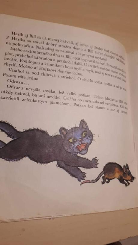 O haríkovi a billovi, dvoch kamarátoch rudo moric,