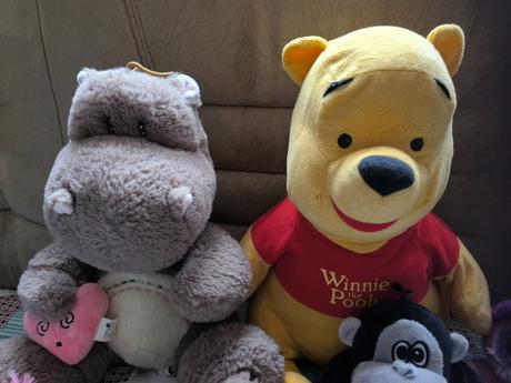 Packo pu, hroch, krava, 