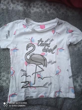 Tričko s plameniakom, 134