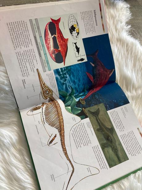 Dinosaury objavy - druhy - vymieranie, 