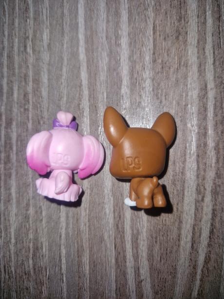 Littlest pet shop maltezak a terier, 