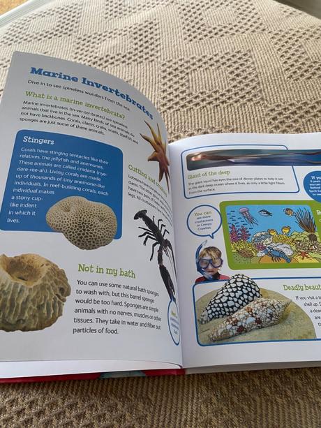 London natural history museum kids only, 