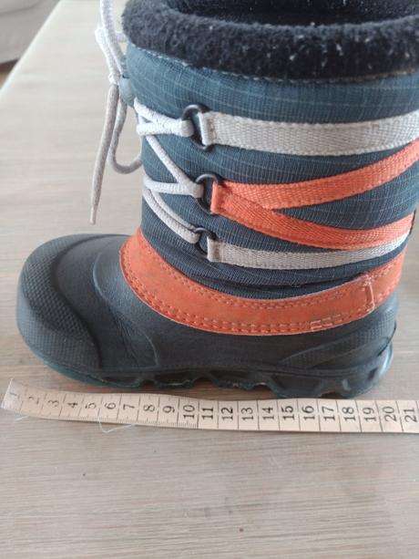 Snehule salomon, salomon,26